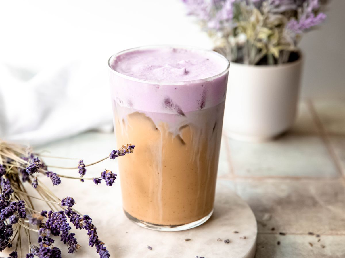 A horizontal shot of a glass of Iced Lavender Cream Chai on the counter with dried lavender. 