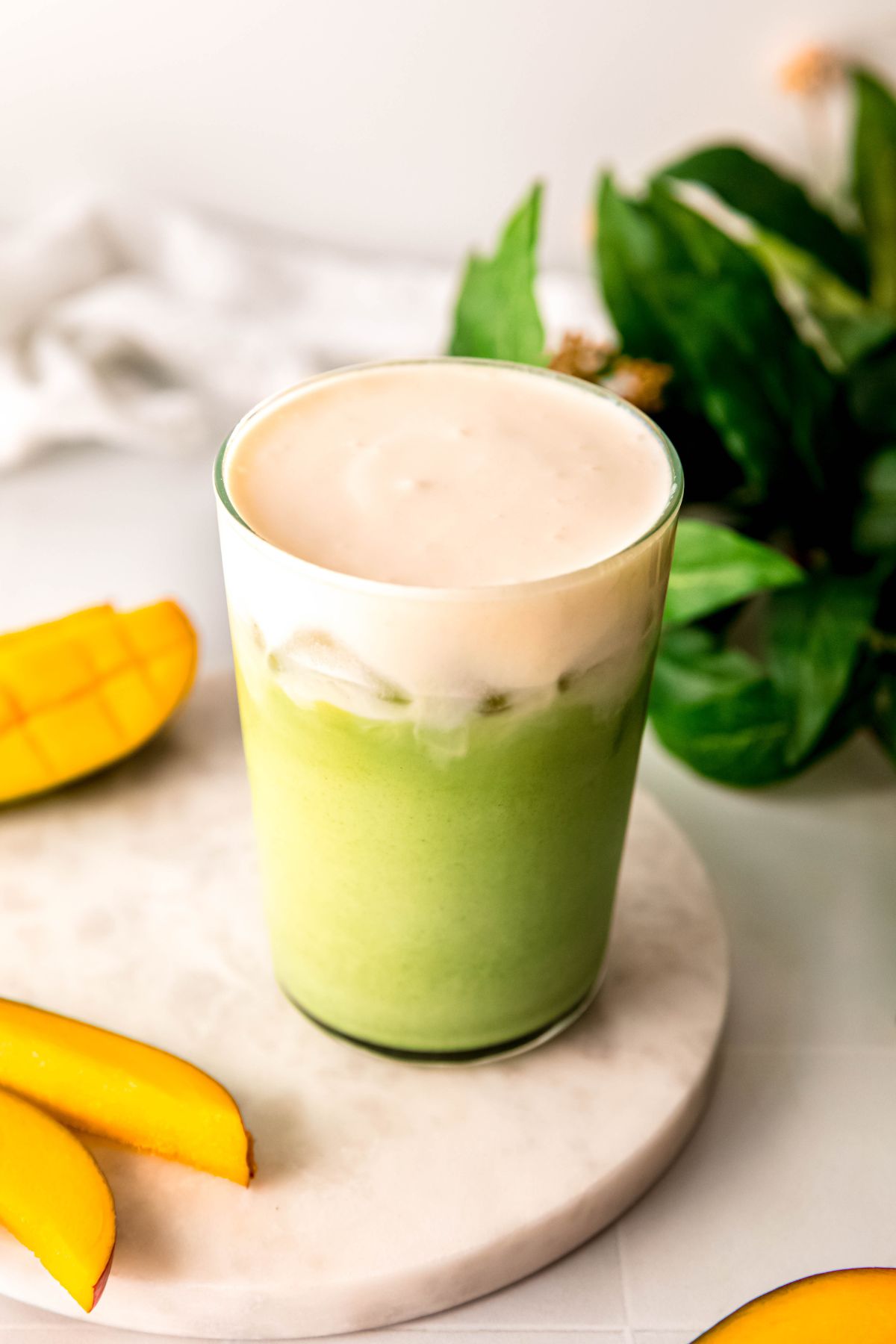 homemade Starbucks iced mango cream matcha latte in a clear pint glass on a white table with fresh mango slices and a green houseplant. 